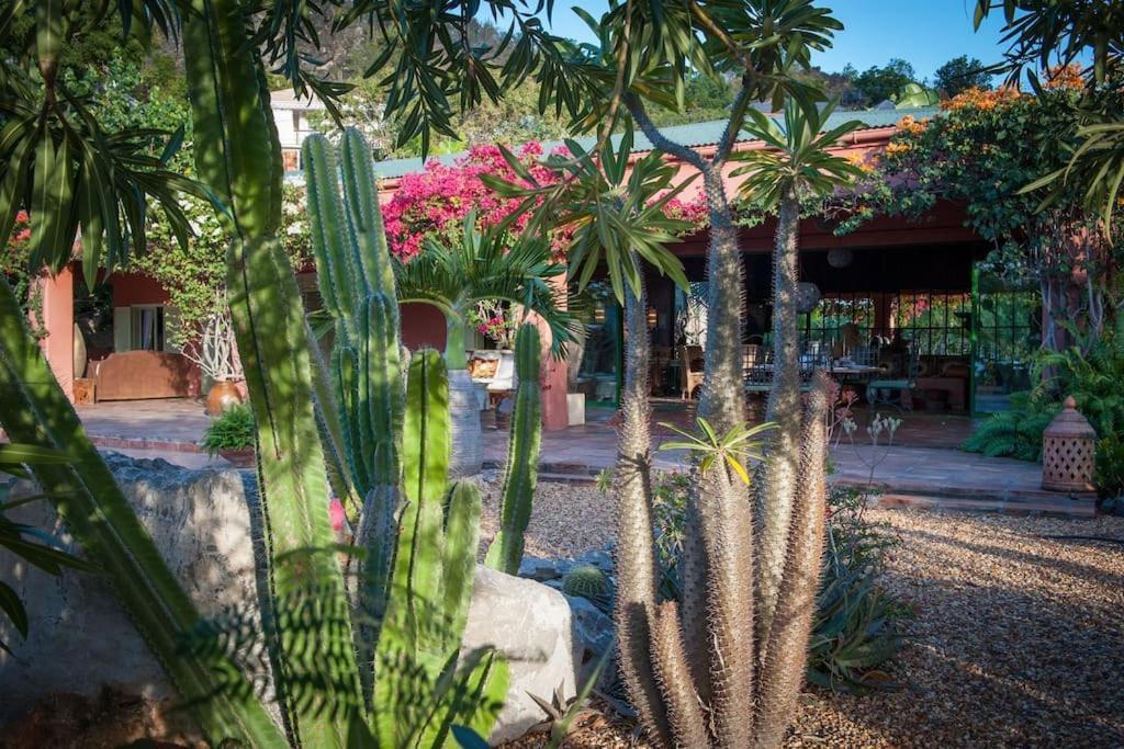 Villa African Queen - St Barth Густавия Екстериор снимка